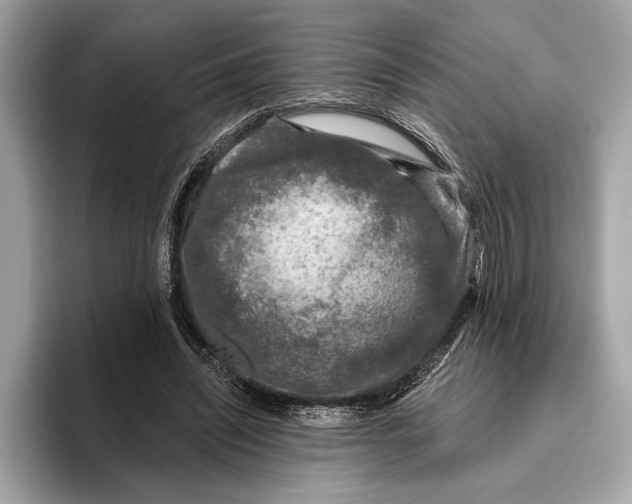 X0000096430444200802141435