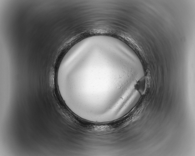 X0000096430446200802141435