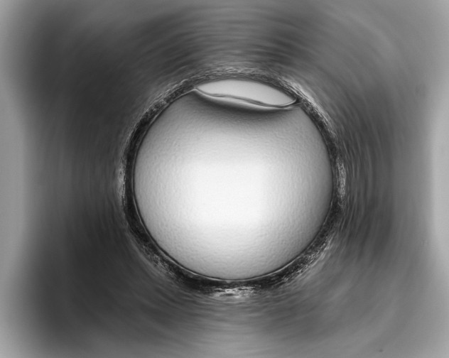 X0000096430447200802141435