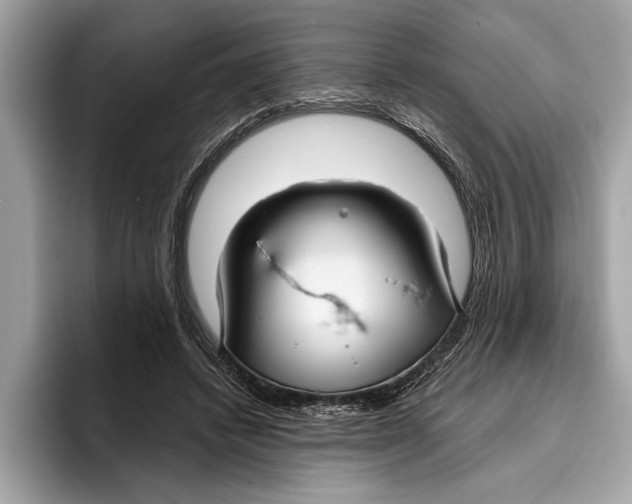 X0000096430448200802141435
