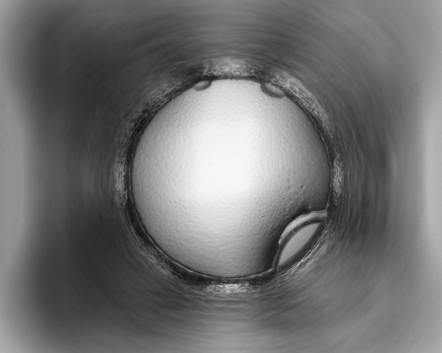 X0000096430449200802141435