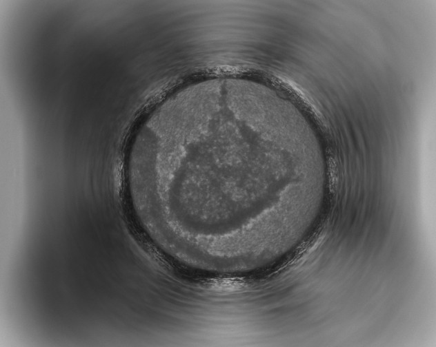 X0000096430451200802141435