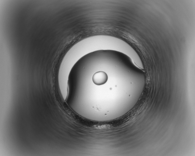 X0000096430452200802141435