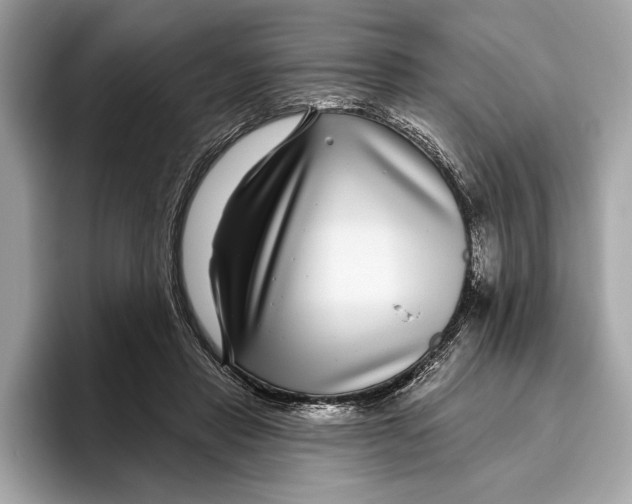 X0000096430453200802141435