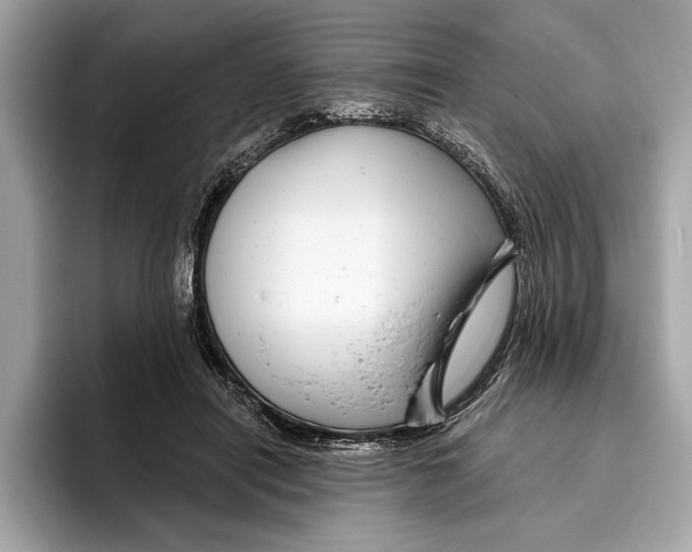 X0000096430454200802141435