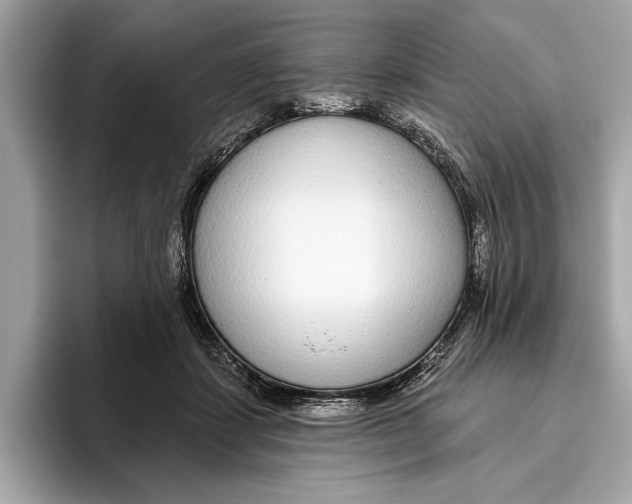X0000096430459200802141435