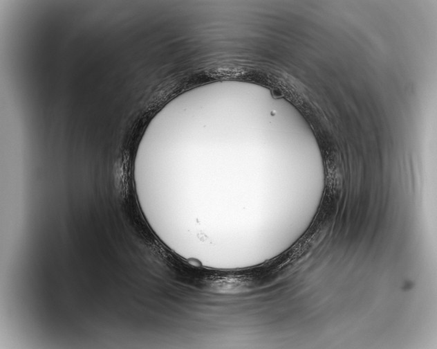 X0000096430460200802141435