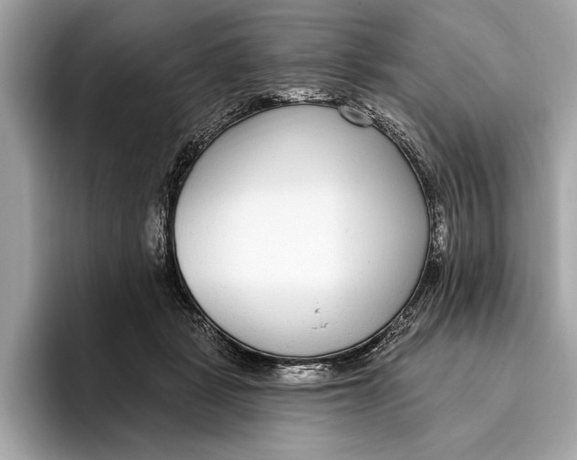 X0000096430461200802141435