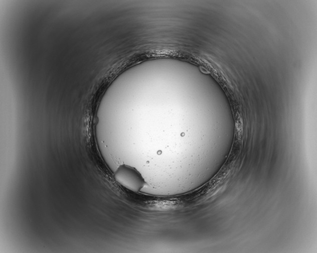 X0000096430462200802141435