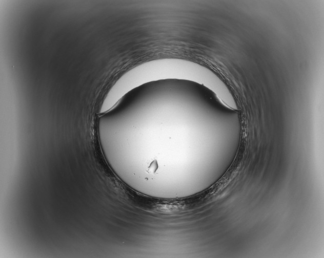 X0000096430466200802141435