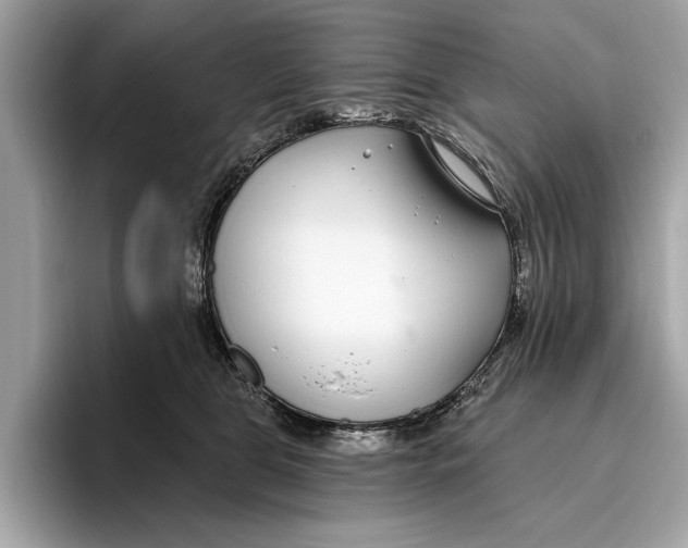 X0000096430469200802141435