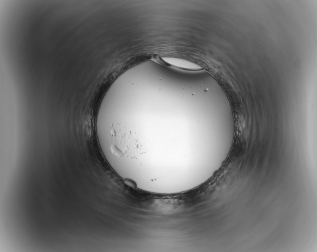 X0000096430470200802141435