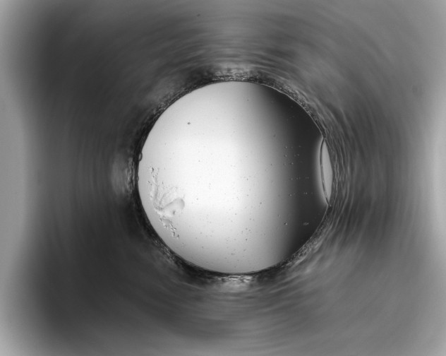 X0000096430474200802141435