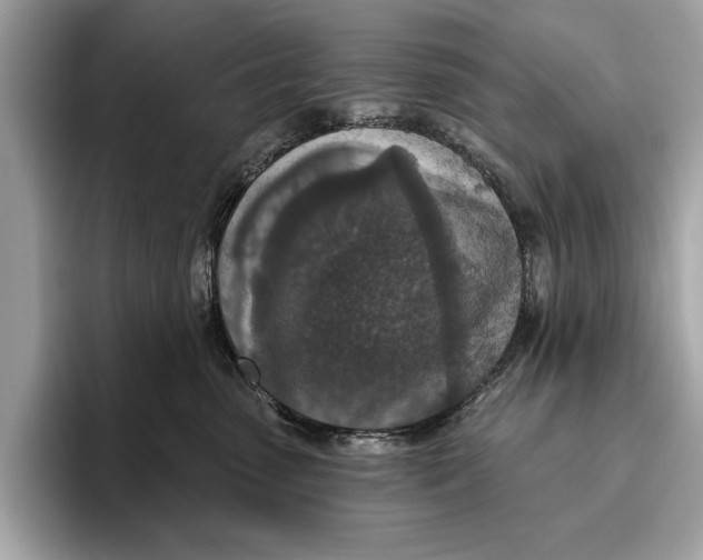 X0000096430475200802141435