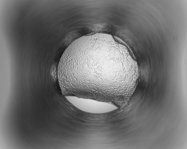 X0000096430479200802141435