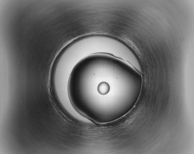 X0000096430484200802141435
