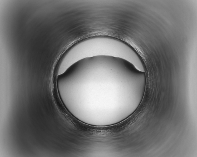 X0000096430486200802141435