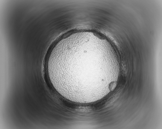 X0000096430487200802141435