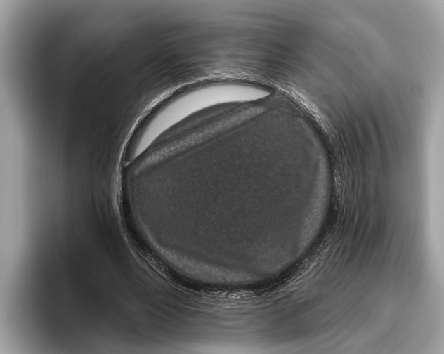 X0000096430488200802141435
