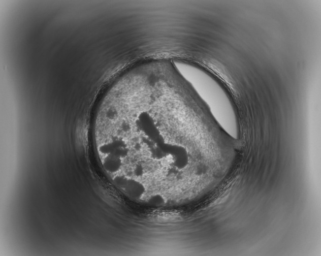 X0000096430491200802141435