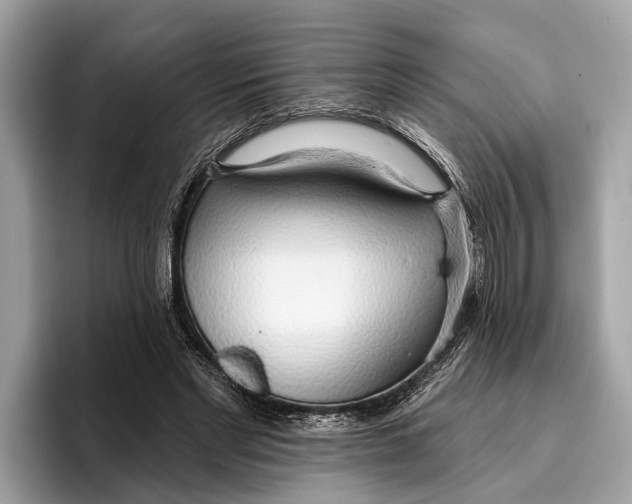 X0000096430493200802141435
