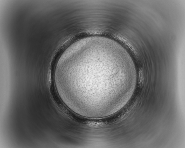 X0000096430494200802141435