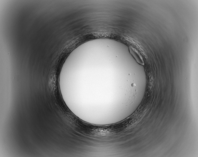 X0000096430498200802141434