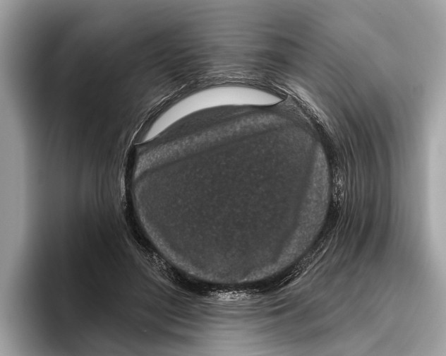X0000096430500200802141434