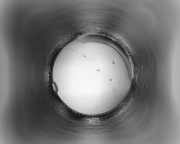 X0000096430501200802141434