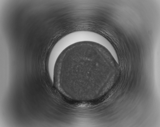 X0000096430504200802141434