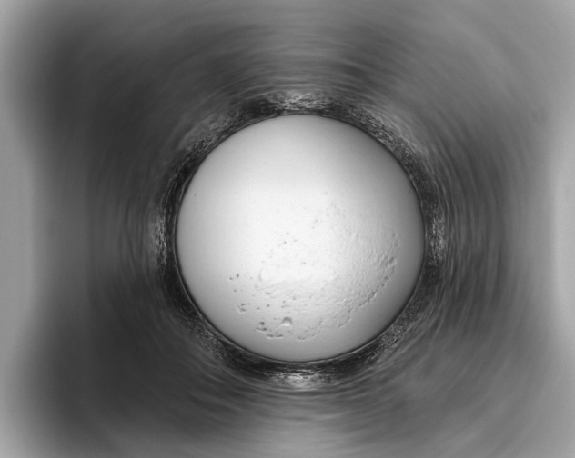 X0000096430506200802141434