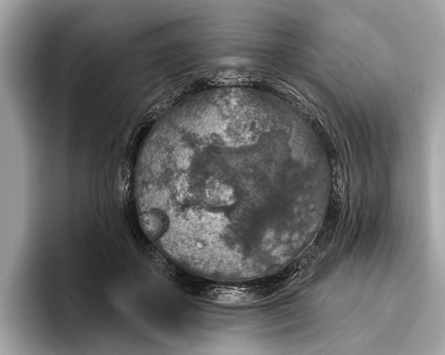 X0000096430507200802141434