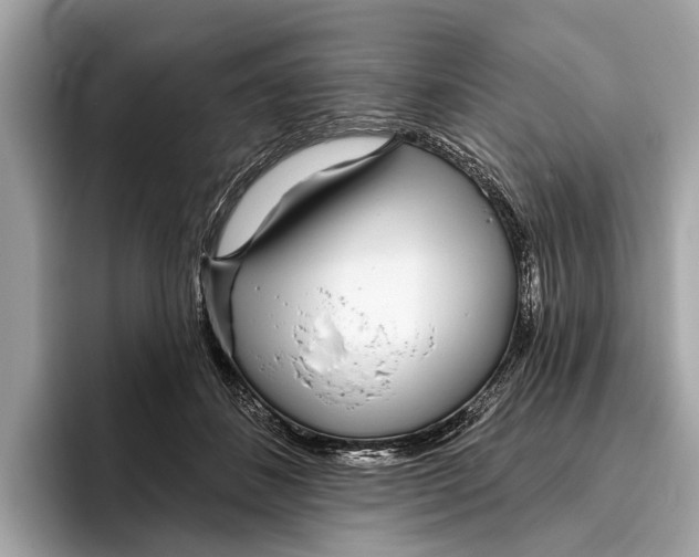 X0000096430508200802141434