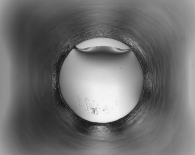 X0000096430509200802141434