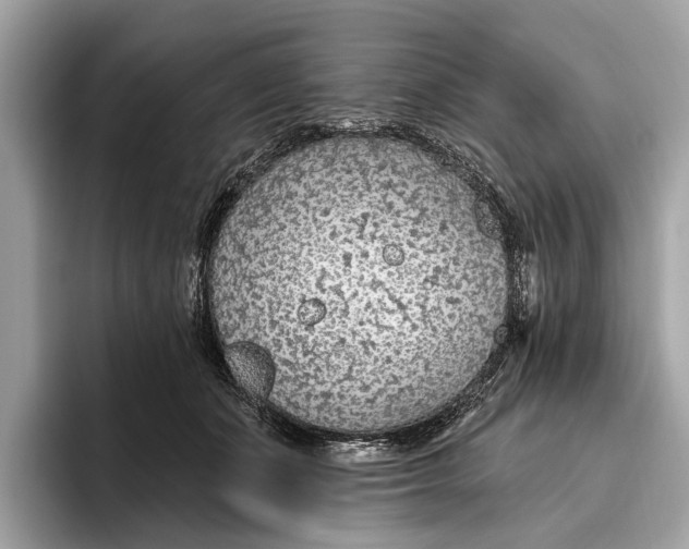 X0000096430511200802141434
