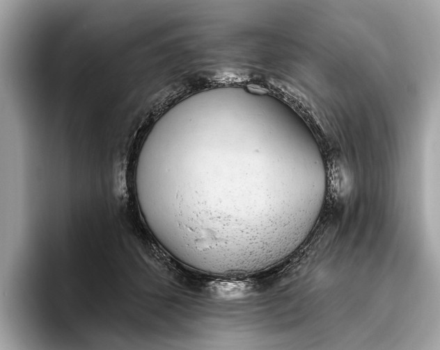 X0000096430512200802141434