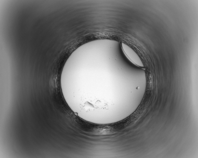 X0000096430514200802141434