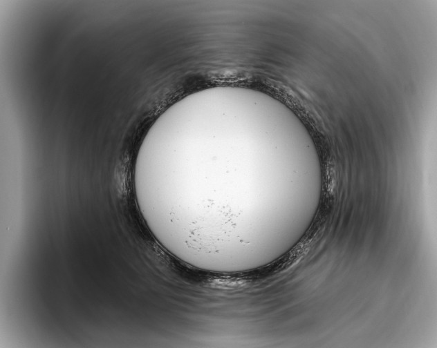 X0000096430515200802141434