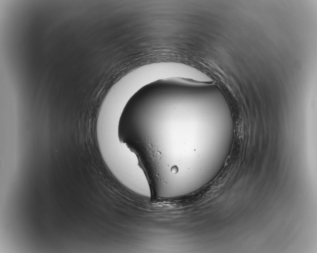 X0000096430516200802141434
