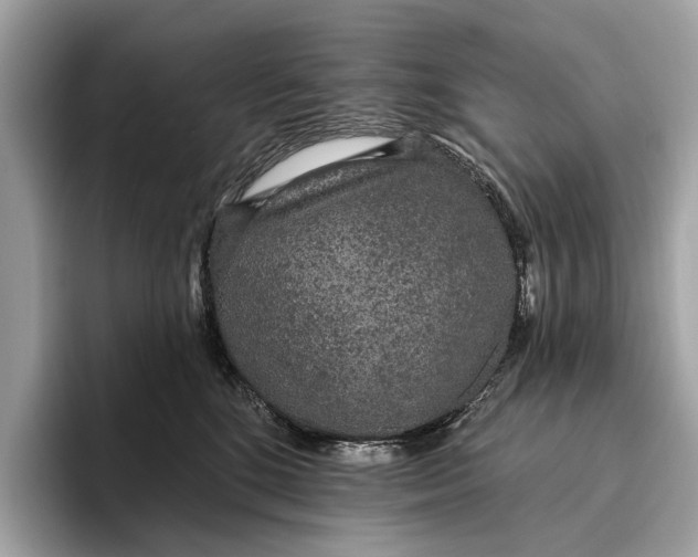 X0000096430520200802141434