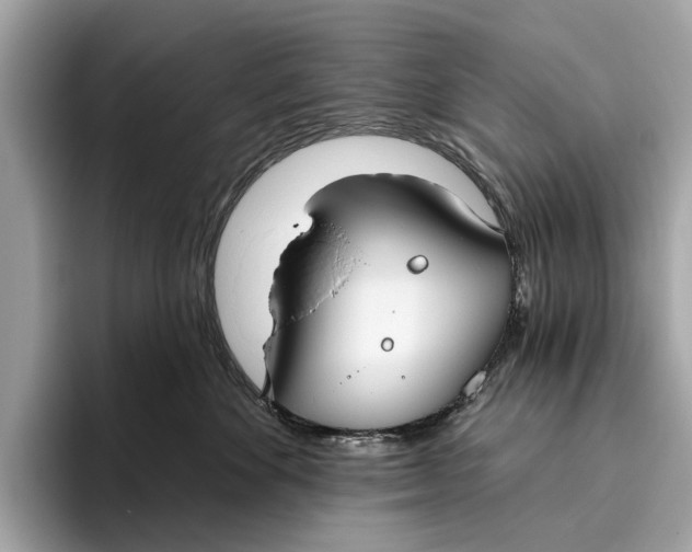 X0000096430524200802141434