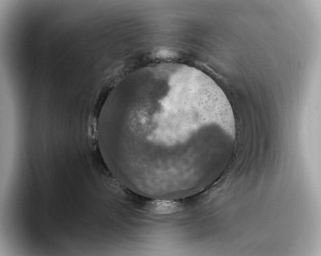 X0000096430528200802141434
