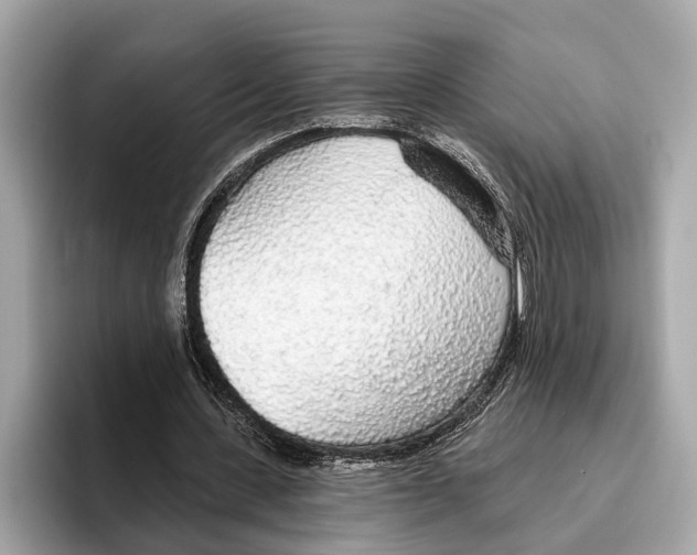 X0000096430531200802141434