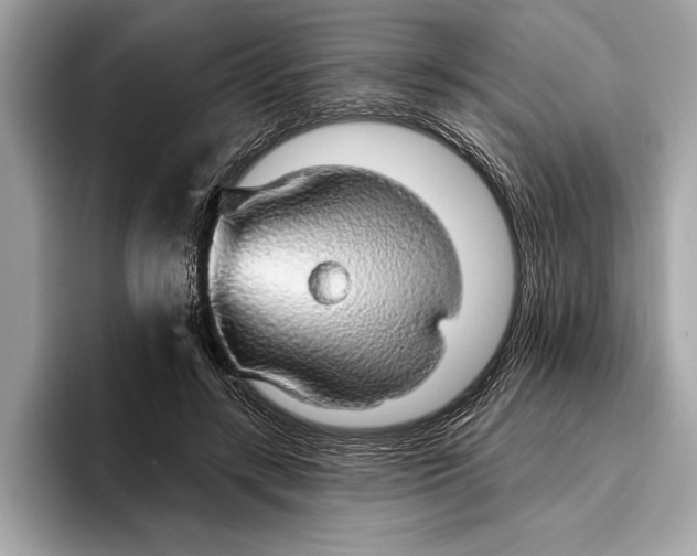 X0000096430547200802141434