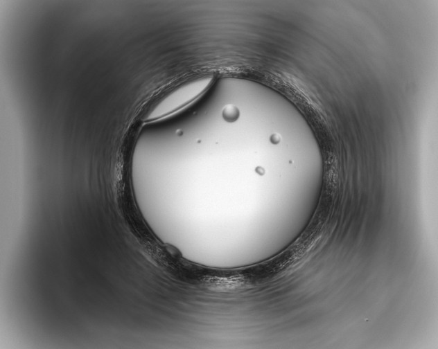 X0000096430548200802141434