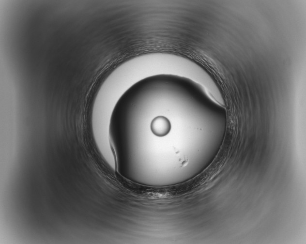 X0000096430552200802141434