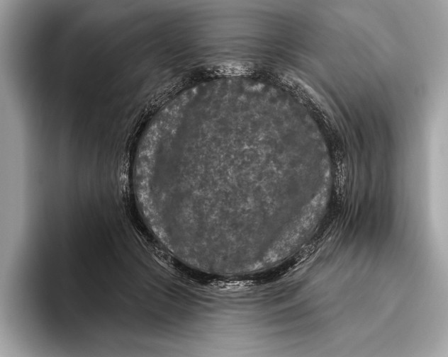 X0000096430553200802141434