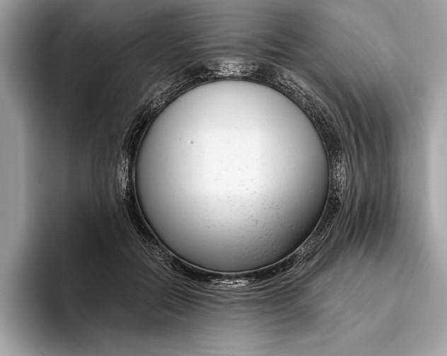 X0000096430554200802141434