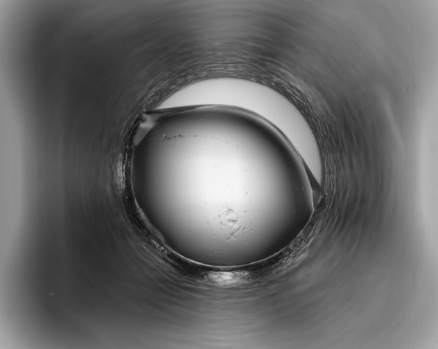 X0000096430558200802141434