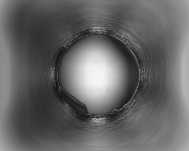 X0000096430560200802141434